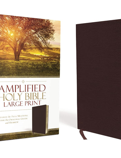 Amplified Holy Bible, Large Print, Bonded Leather, Burgundy: Captures the Full Meaning Behind the Original Greek and Hebrew