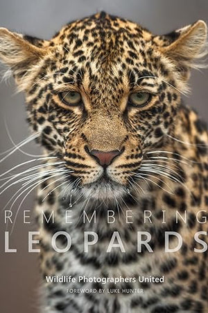 Remembering Leopards (8) (Remembering Wildlife)
