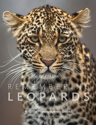 Remembering Leopards (8) (Remembering Wildlife)