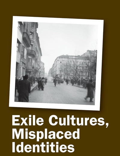 Exile Cultures, Misplaced Identities (Critical Studies, 30)