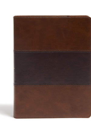 KJV Study Bible, Full-Color, Saddle Brown LeatherTouch, Red Letter, Pure Cambridge Text, Study Notes and Commentary, Illustrated, Articles, Word Studies, Outlines, Timelines, Easy-to-Read MCM Type