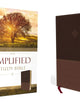 The Amplified Study Bible, Leathersoft, Brown [Large Print]
