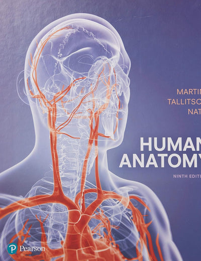 Human Anatomy