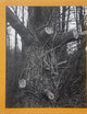 Tim Carpenter: Christmas Day, Bucks Pond Road