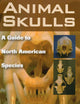 Animal Skulls