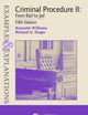 Examples & Explanations for Criminal Procedure II: From Bail to Jail