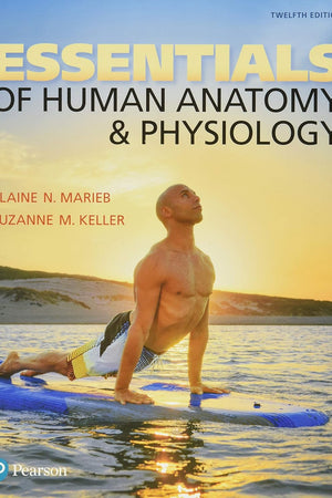 Essentials of Human Anatomy & Physiology
