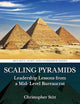 Scaling Pyramids (Security, Audit and Leadership Series)