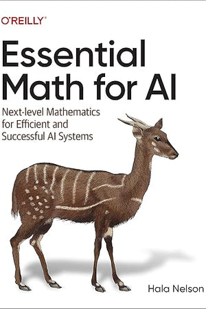 Essential Math for AI: Next-Level Mathematics for Efficient and Successful AI Systems