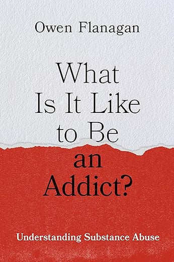 What Is It Like to Be an Addict?: Understanding Substance Abuse