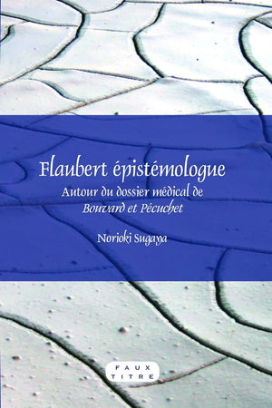 Flaubert épistémologue: Autour du dossier médical de Bouvard et Pécuchet (Faux Titre, 346) (French Edition)