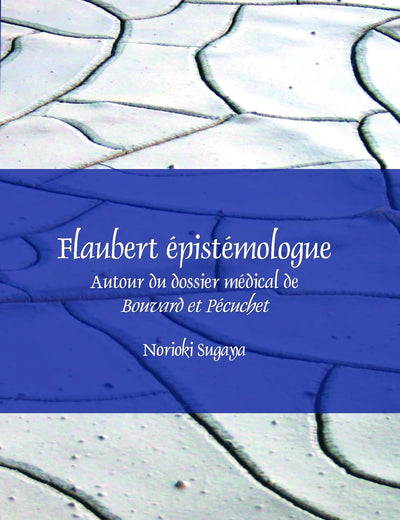 Flaubert épistémologue: Autour du dossier médical de Bouvard et Pécuchet (Faux Titre, 346) (French Edition)