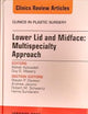 Lower Lid and Midface: Multispecialty Approach, An Issue of Clinics in Plastic Surgery (Volume 42-1) (The Clinics: Surgery, Volume 42-1)