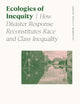 Ecologies of Inequity: How Disaster Response Reconstitutes Race and Class Inequality (Sociology of Race and Ethnicity)