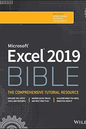 Excel 2019 Bible