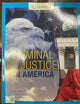 Criminal Justice in America