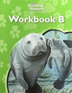 Reading Mastery Reading/Literature Strand Grade 2, Workbook B (READING MASTERY LEVEL VI)