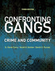 Confronting Gangs: Crime and Community