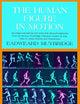 The Human Figure in Motion