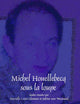 Michel Houellebecq sous la loupe (Faux Titre, 304) (French Edition)