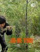 Jin-me Yoon
