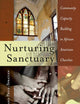 Nurturing Sanctuary: Community Capacity Building in African American Churches (Black Studies and Critical Thinking)