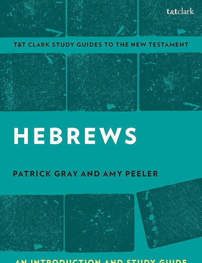 Hebrews: An Introduction and Study Guide (T&T Clark’s Study Guides to the New Testament)