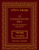 The Commentators' Bible: Numbers: The Rubin JPS Miqra'ot Gedolot
