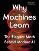 Why Machines Learn: The Elegant Math Behind Modern AI