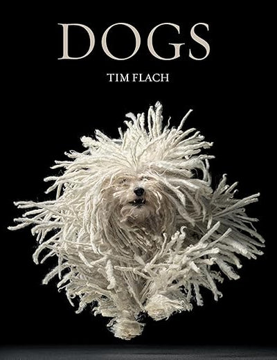 Dogs