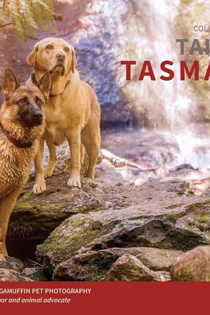 Tails of Tasmania (Tails of the World)