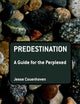 Predestination: A Guide for the Perplexed