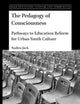 The Pedagogy of Consciousness: Pathways to Education Reform for Urban Youth Culture (Urban Education, Cultures and Communities, 2)