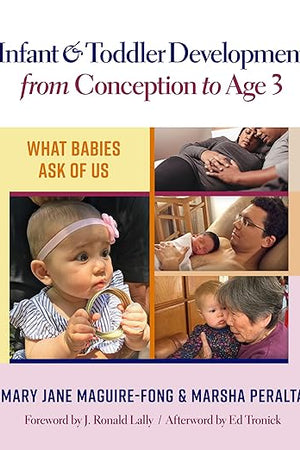 Infant and Toddler Development from Conception to Age 3: What Babies Ask of Us