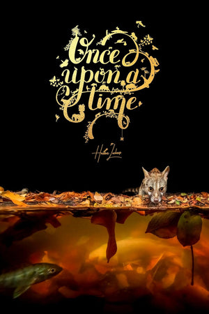 Once Upon a Time: An Intimate insight through storytelling and wildlife photography.