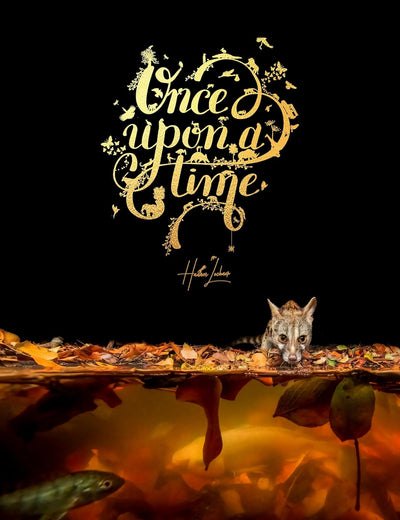 Once Upon a Time: An Intimate insight through storytelling and wildlife photography.