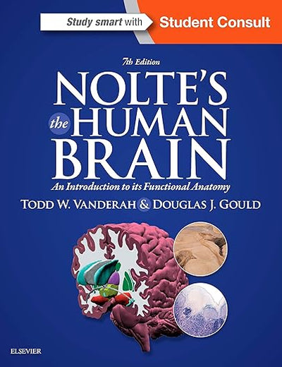 Nolte's The Human Brain: An Introduction to its Functional Anatomy