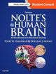 Nolte's The Human Brain: An Introduction to its Functional Anatomy