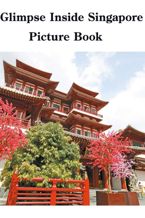 A Glimpse Inside Singapore Picture Book