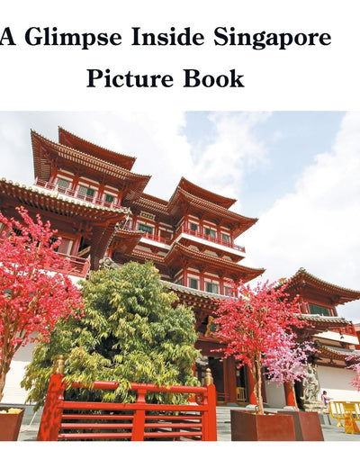 A Glimpse Inside Singapore Picture Book