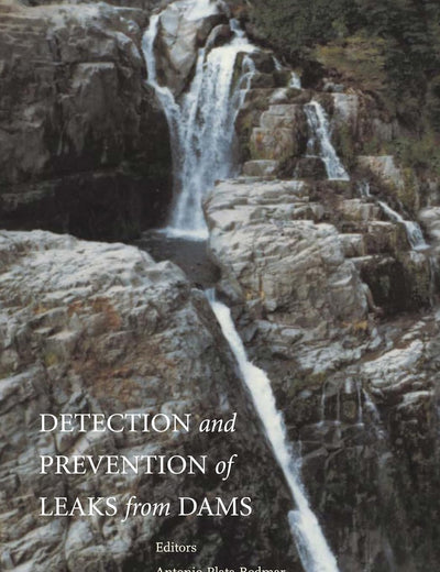 Detection and the Prevention of Leaks from Dams