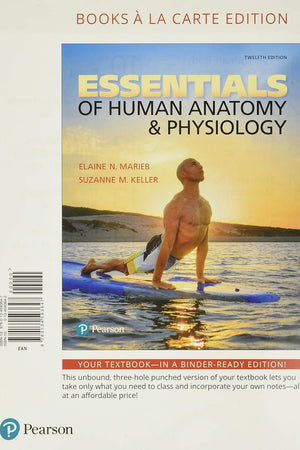 Essentials of Human Anatomy & Physiology