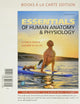 Essentials of Human Anatomy & Physiology