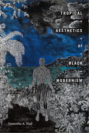 Tropical Aesthetics of Black Modernism (The Visual Arts of Africa and its Diasporas)