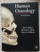 Human Osteology