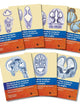 The Human Brain During the First Trimester: Atlas of Human Central Nervous System Development, Volume 1-7
