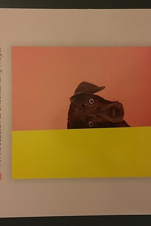 Criticizing Photographs