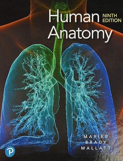Human Anatomy