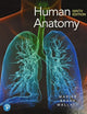 Human Anatomy