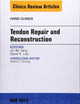 Tendon Repair and Reconstruction, An Issue of Hand Clinics (Volume 29-2) (The Clinics: Orthopedics, Volume 29-2)